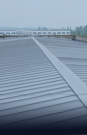 江苏迦南印刷成人免费看片翻新修缮